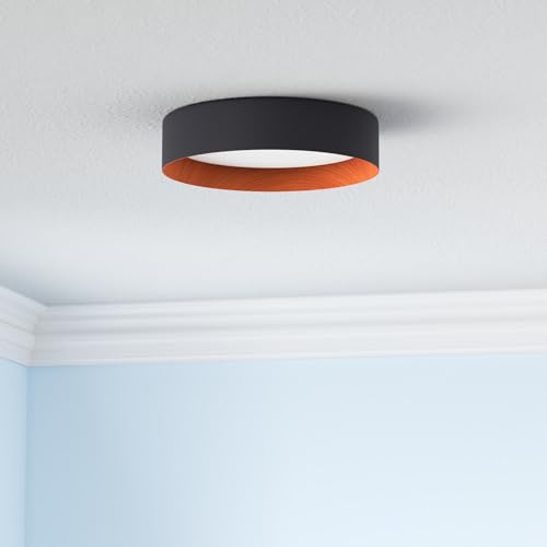 Kitchen Flush Mount Ceiling Light
