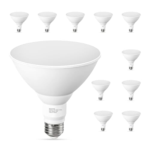 10 Pack PAR38 LED Flood Light Bulbs Outdoor (10 Count)