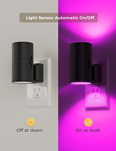 Night Light Night Lights Plug into Wall (2 Count)