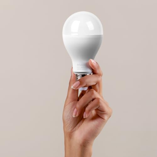 200 Watt Equivalent LED Bulb (4 Count)