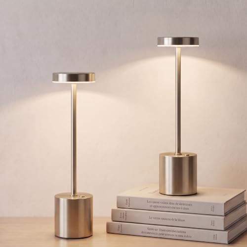 Silver Cordless Table Lamp 2Pack Rechargeable Portable Table Light