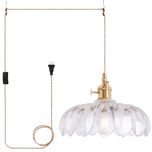 Plug in Pendant Light Hanging Light Fixtures with Plugin Cord On