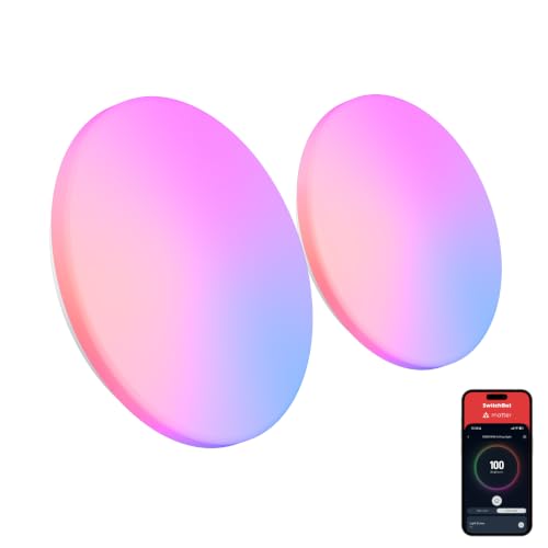 RGBICWW Ceiling Light 12 Inch 2 (12 Inch 2 Pack)