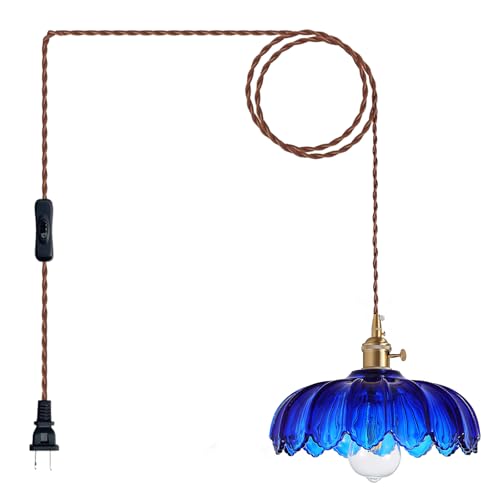 Plug in Pendant Light