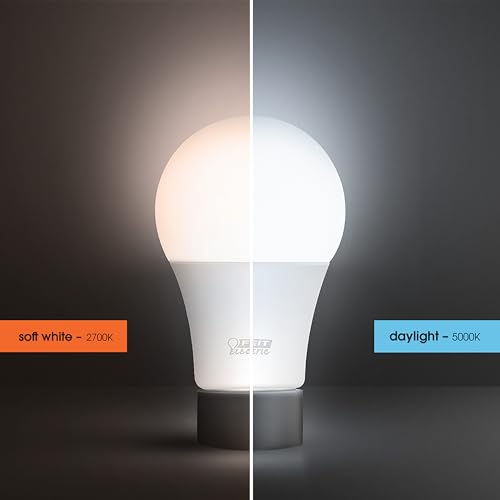 A19 LED Light Bulbs (4 Count)