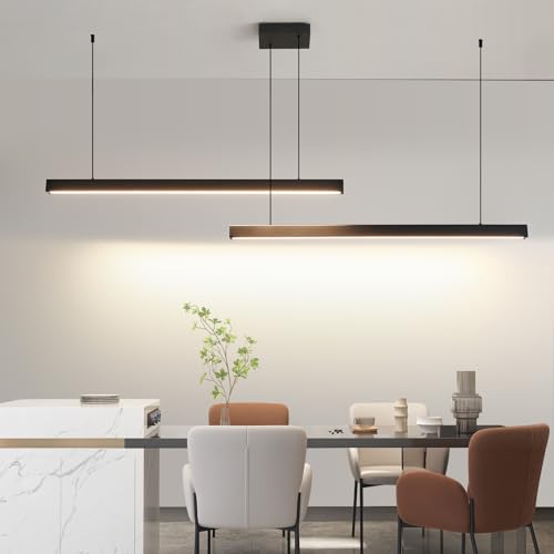 Modern 2 Light Chandelier