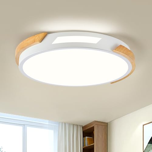 Modern LED Ceiling Light