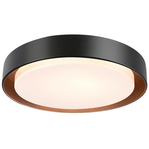 Flush Mount Ceiling Light (Matte Black)