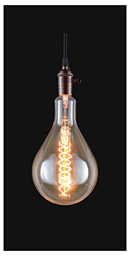 E26 Medium Base Oversized Vintage Style Light Bulb