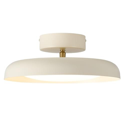 Modern LED Ceiling Light