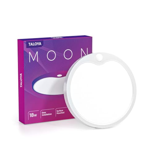 Motion Sensor Ceiling Light