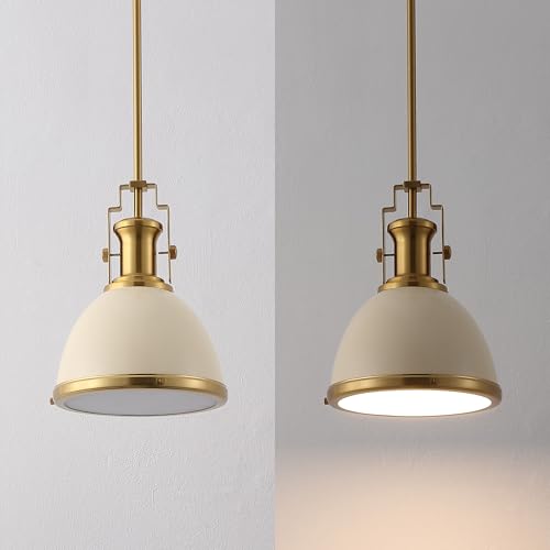 Homer Industrial Dome Pendant 10"