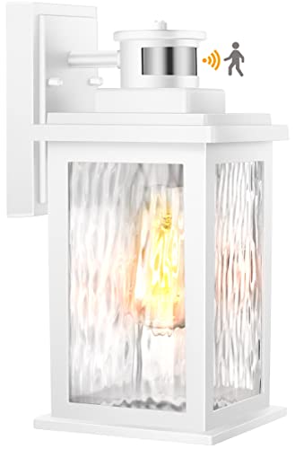 Motion Sensor Outdoor Lights