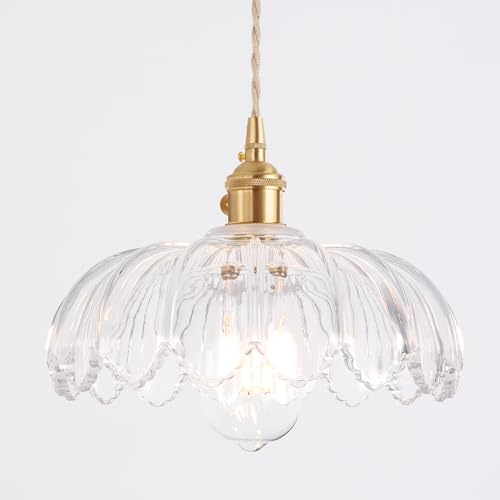 Pendant Light with Clear Scindapsus Glass Lmapshade