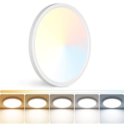 12 inch LED Ceiling Light