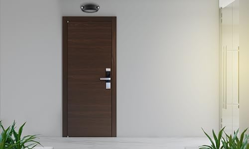 ELM2L B M12 Quantum LED Emergency Light