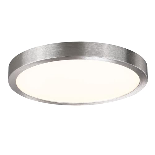 10 Inch LED Flush Mount Ceiling Light Fixture