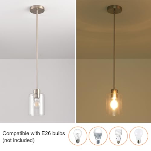 Brushed Nickel Pendant Lights (2 Count)