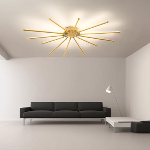 Modern LED Ceiling Light