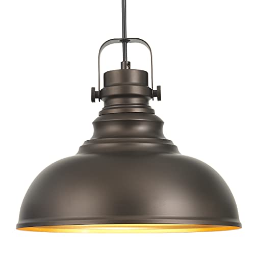 Industrial Pendant Light Fixture