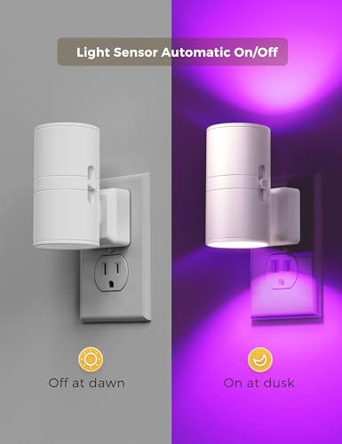 Night Light Night Lights Plug into Wall (2 Count)