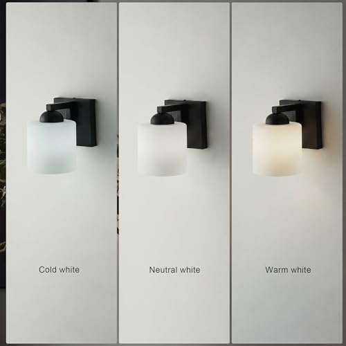 1 Light Black Bathroom Vanity Light with White Glass Shade