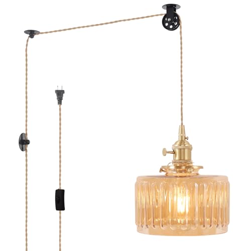 Plug in Pendant Light Hanging Light Fixture Corded On