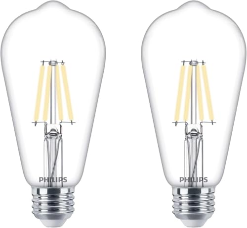 LED 60W ST19 1