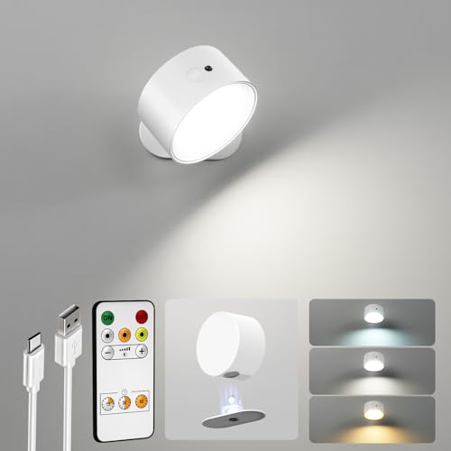 LED Wall Sconces