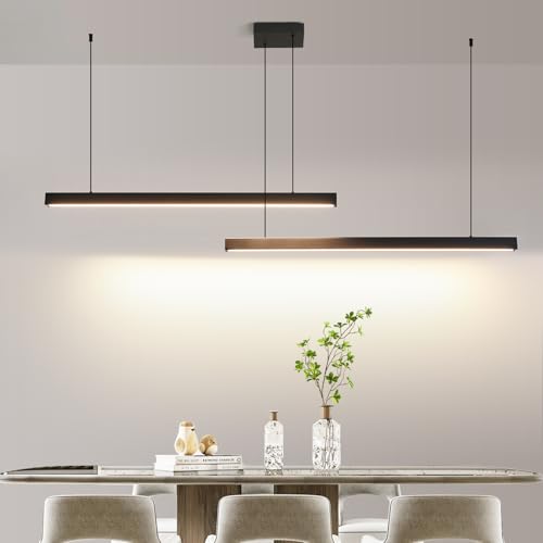 Modern 2 Light Chandelier