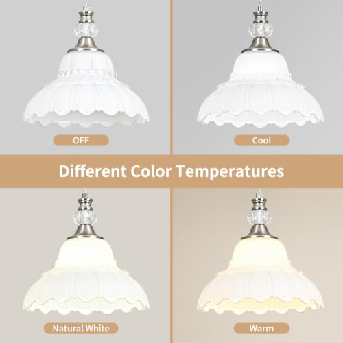 1 Piece Chandelier in Brushed Nickel Finish with White Flower (1-Light / Nickel and White)