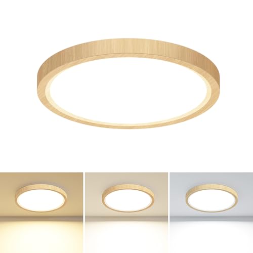 Flush Mount Ceiling Light Fixtures