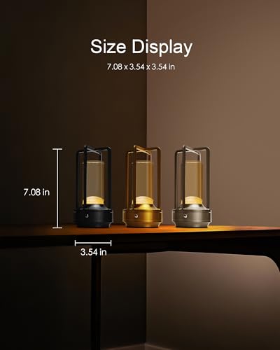 Set of 2 Cordless Table Lamps Rechargeable LED Desk Lamps Gold (2 Count)