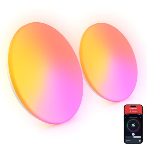 RGBICWW Ceiling Light 15 Inch 2 (15 Inch 2 Pack)
