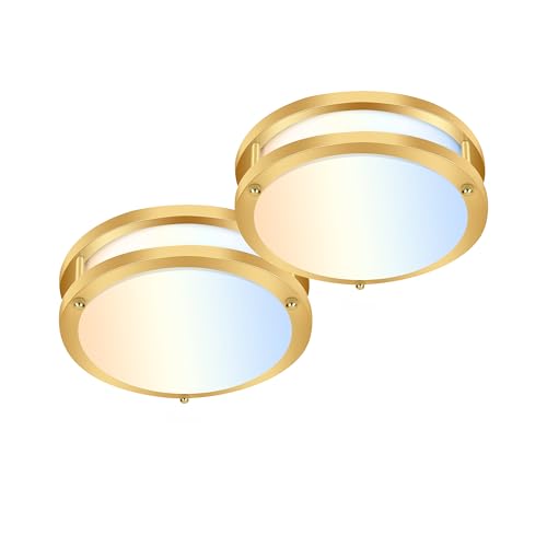 10 inch Flush Mount LED Ceiling Light Fixture (2 Count)
