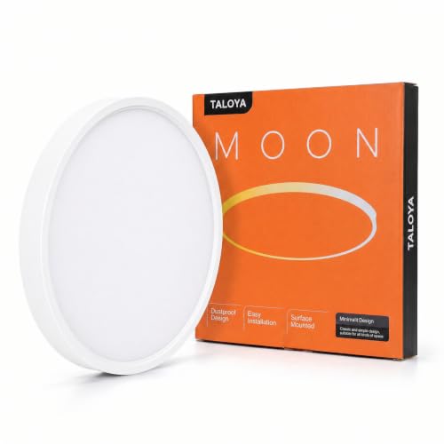 Flush Mount Ceiling Light