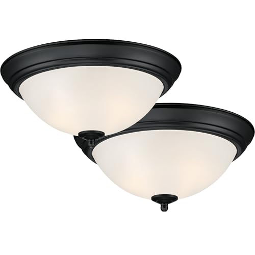 Flush Mount Ceiling Light (2 Count)