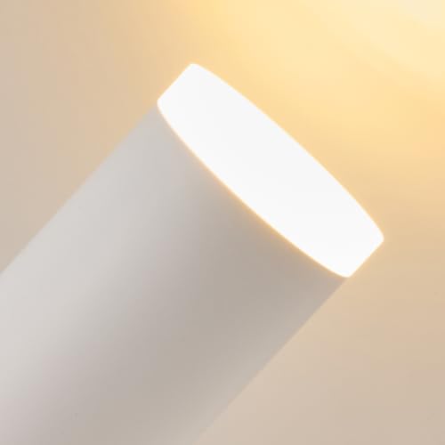 Track Light Acrylic Ring