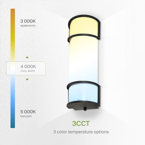 LED 18" Vanity Flush Mount Light Fixture