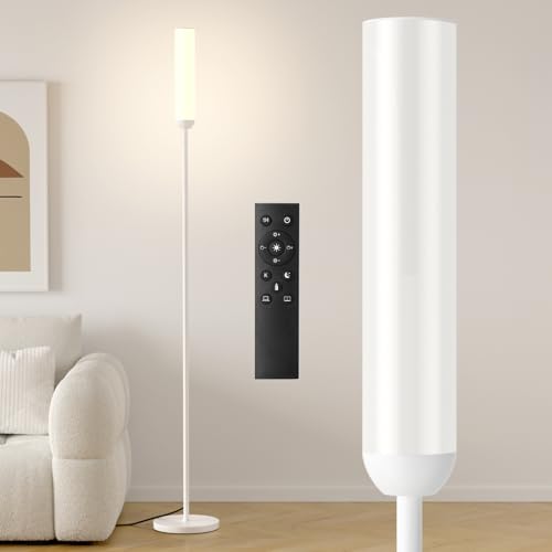 LED Floor Lamp with Remote Control