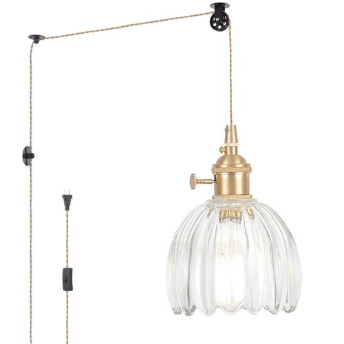 Plug in Pendant Light Hanging Light Fixture Corded On
