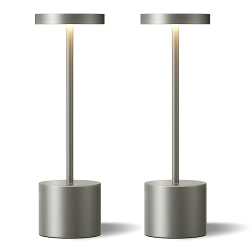 Grey Rechargeable Cordless Lamp (2 Count)