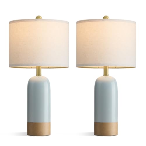 24'' Farmhouse Blue Table Lamps Set of 2 for Living Room (2 Count)