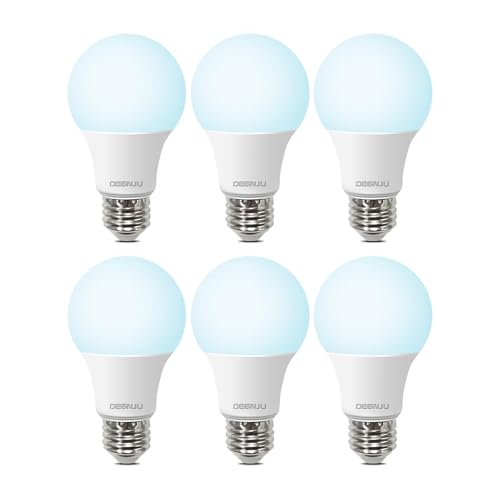 A19 LED Light Bulbs (6 Count)
