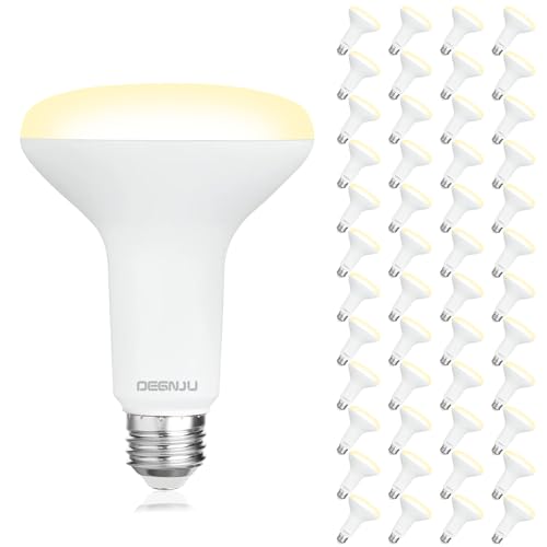 48 Pack Indoor Flood Light Bulbs (48 Count)