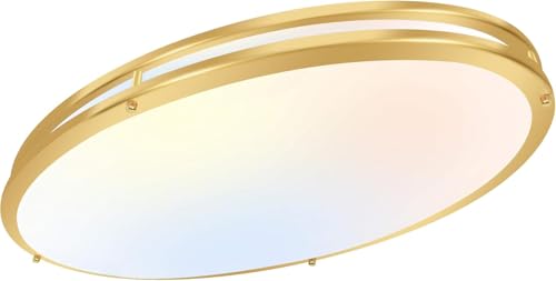 32 Inch Oval LED Ceiling Light