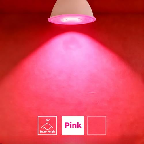 MR16 LED Bulb