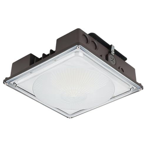 60W LED Canopy Light