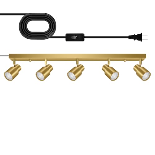 Plug in Track Lighting LED