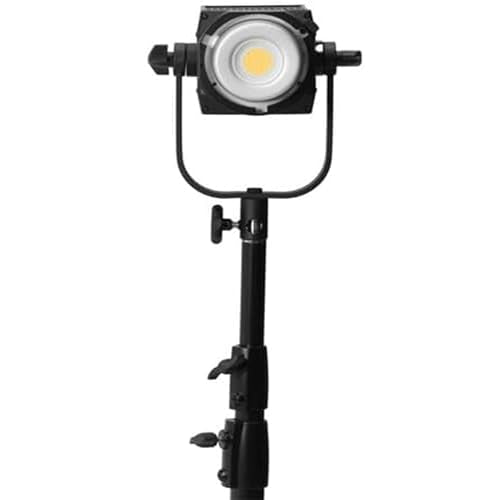 FS-300B Bi-Color LED Video Light